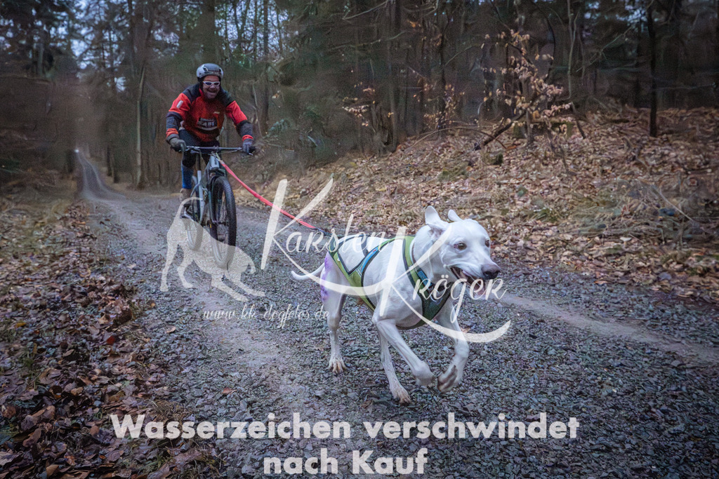 0802_ZZ94285 | kk-dogfotos