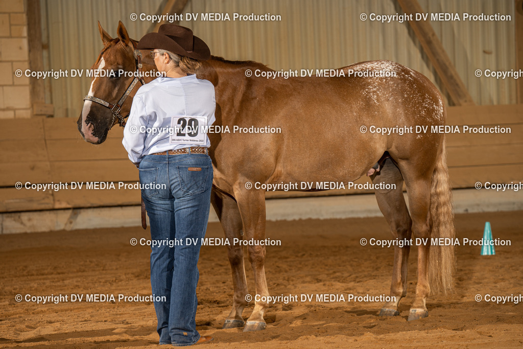 NID02358 | dv-media-shop - Realisiert mit Pictrs.com