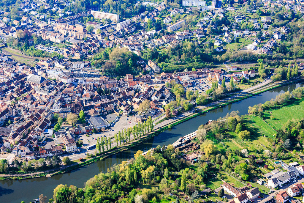 Aerial view: Poplar trees on the banks of the Saar River along Rue du Bac in Saargemünd in the state Moselle, France. – Photo: IMG_154961.jpg taken on 04/18/2026 by Werner Riehm/FLY-FOTO.com – Resolution of the original: 5864 x 3909 px