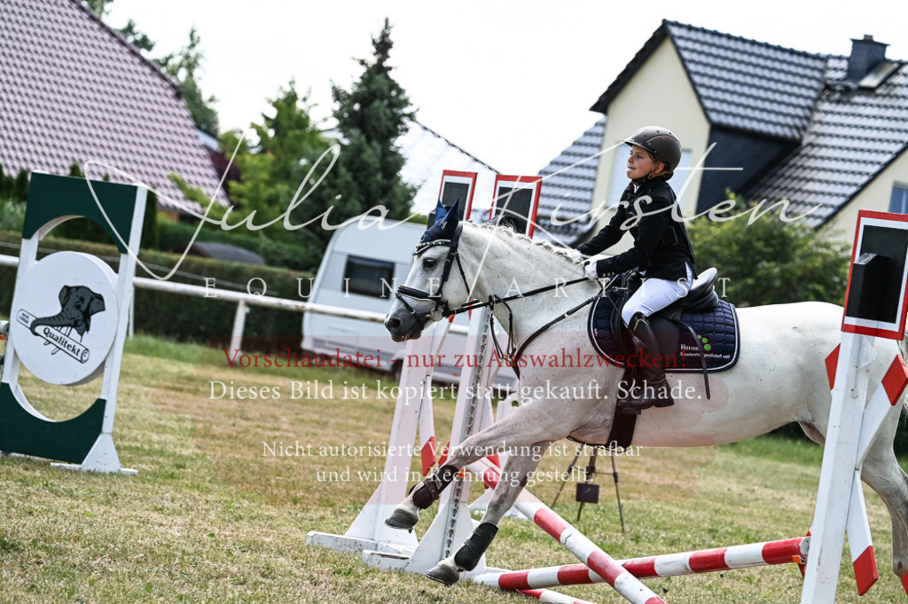 DSC_9614 | Pferde- und Turnierfotografie in Westsachsen. Pferdeportraits, Auftragszeichnungen und intuitive Kunst.