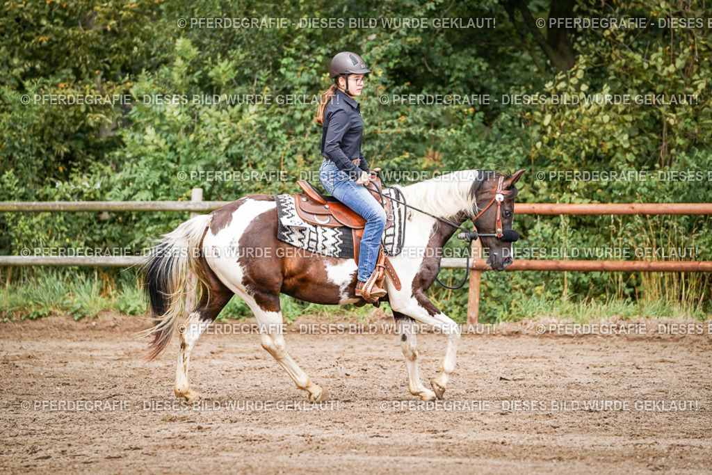 DSC07797 | Pferdegrafie