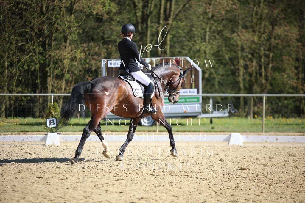 IMGT8798 | pl-fotografie