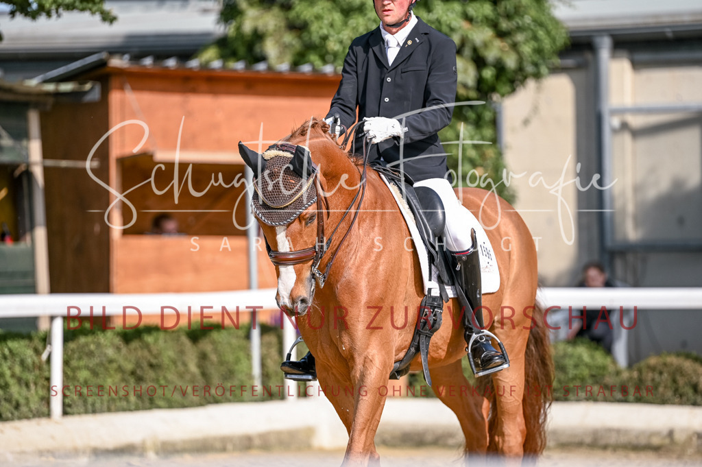 Schugtsche-Aluta25-52.Dressurprf.M2Kand-239 | Schugtsche Fotografie - Realisiert mit Pictrs.com