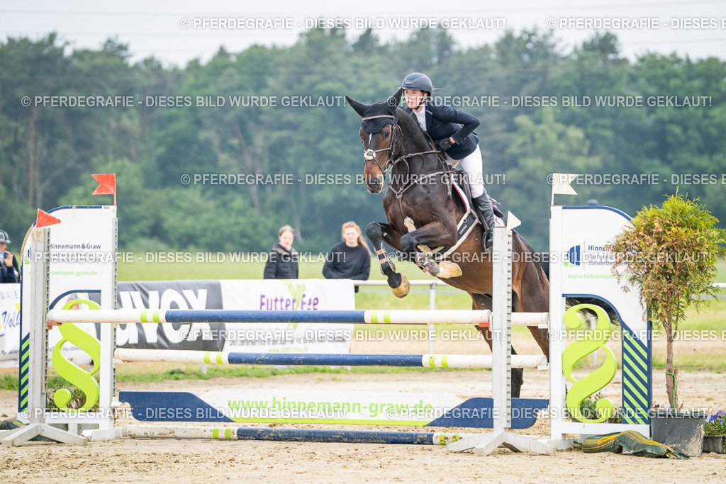 DSC00140 | Pferdegrafie