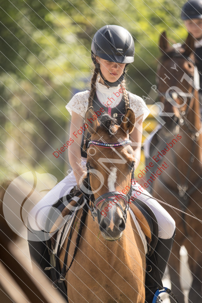 IMG_5729 | Sport-, Event- und Tierfotos in Profiqualität. Einfach auswählen, bestellen und herunterladen. Dein Moment – perfekt festgehalten.