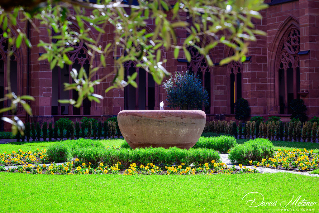 Der Mainzer Dom St Martin | Der hohe Dom St Martin zu Mainz