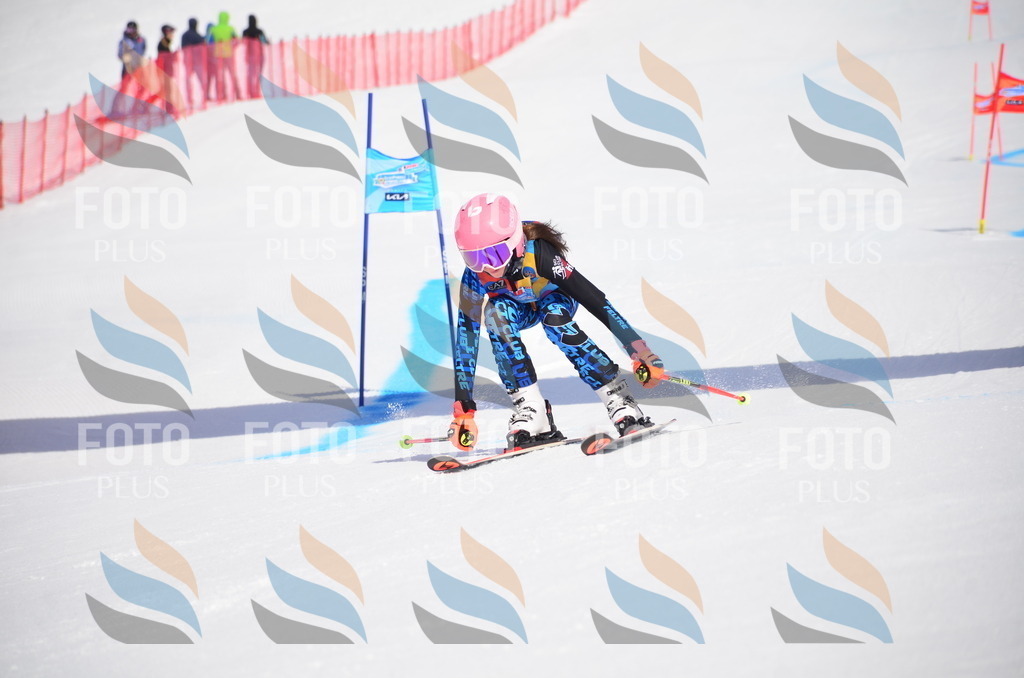 VR4_0153 | holidayphoto