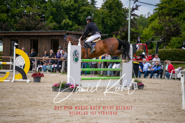 IMG_5622 | Turniersportfotografie; Pferdefotografie; Dressurfotografie