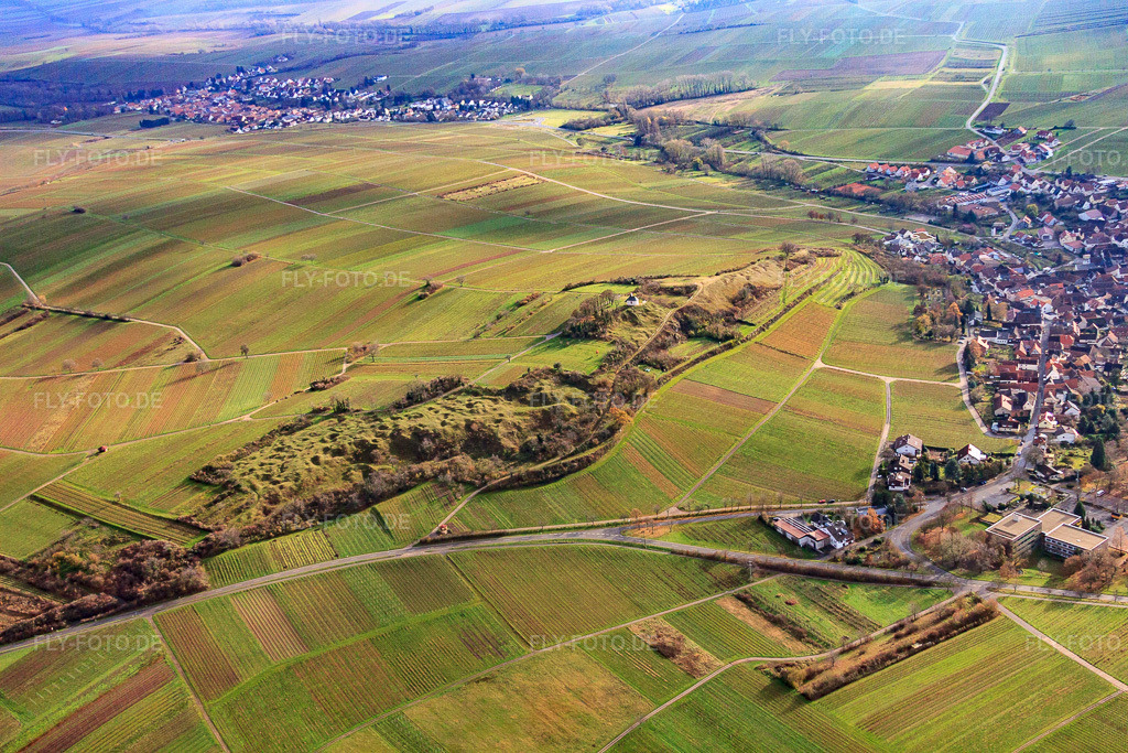 Luftbild: Naturschutzgebiet Kleine Kalmit im Winter von Norden im Ortsteil Arzheim in Landau im Bundesland Rheinland-Pfalz in Deutschland. Foto: IMG_61289.jpg vom 30.11.2013 durch Werner Riehm/FLY-FOTO.de