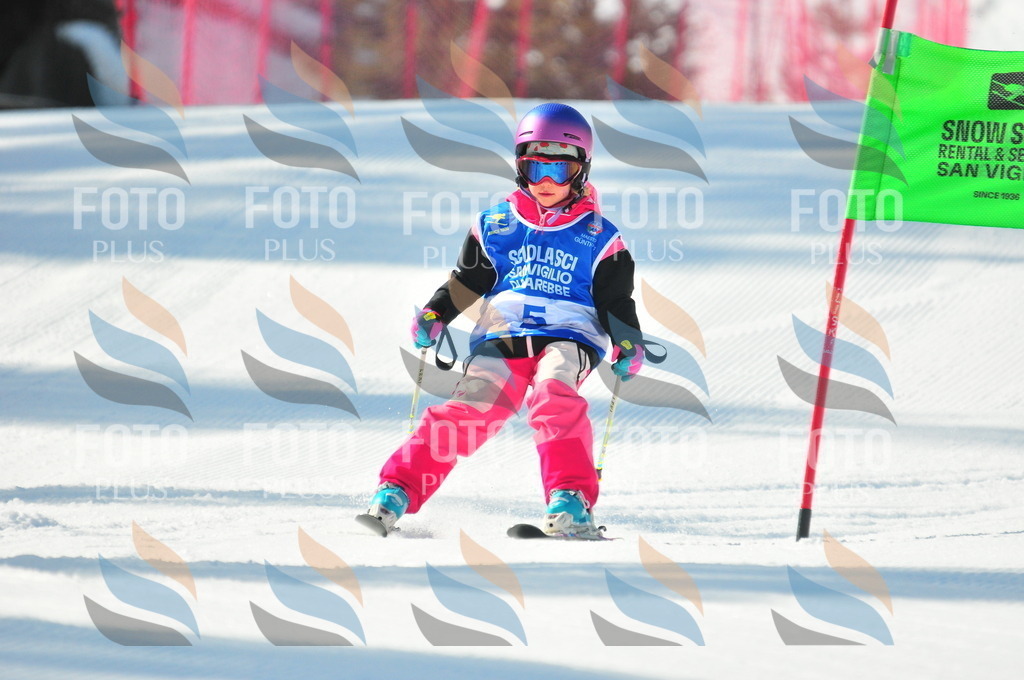 B9179 | holidayphoto