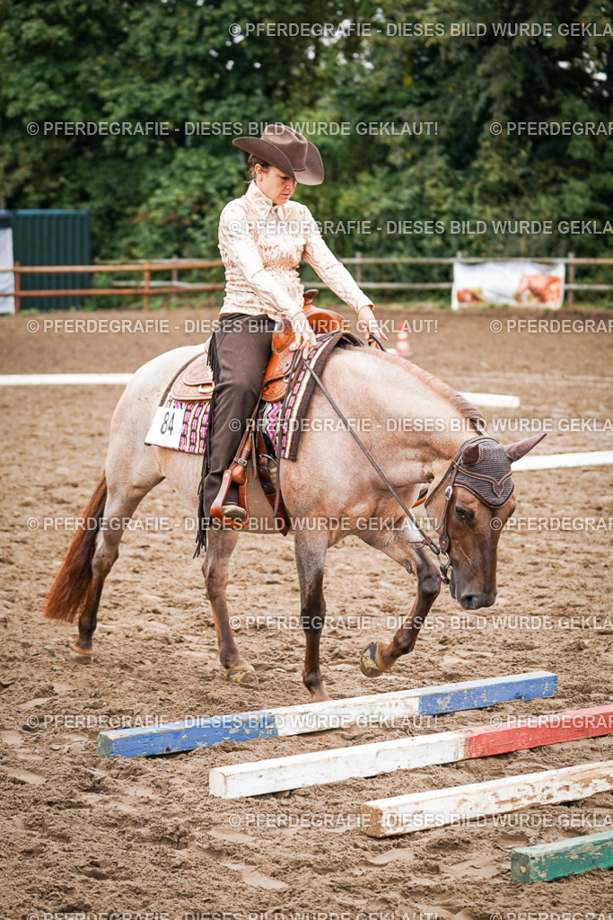 DSC03117 | Pferdegrafie