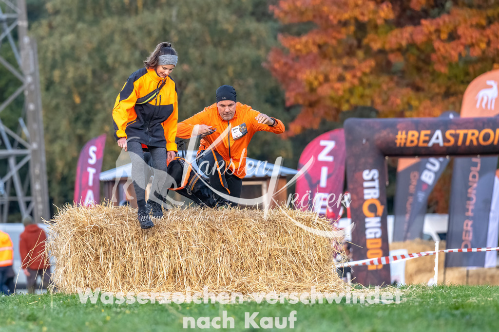 0816_ZZ90070-Bearbeitet | kk-dogfotos