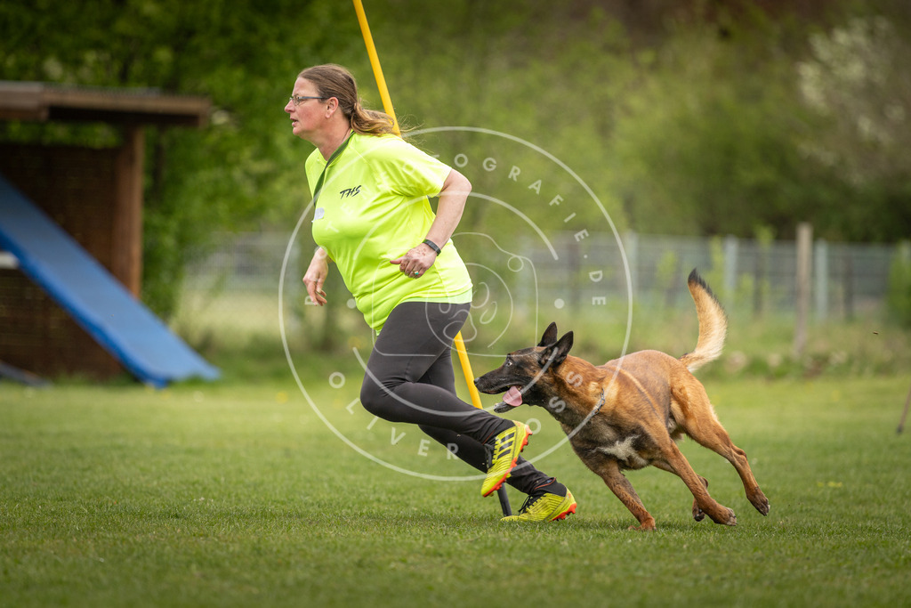 Pfotenfotografie_DV3A9531 | Hundefotografie, Tierfotograf, Pfotenfotografie, Fotoshooting Hund, Hunde Portrait, Hundesport, Hundeportraits, Heideshooting, Hunde, Sportfotograf, Hundefotograf, Turnierhundsport, THS,  - Realisiert mit Pictrs.com