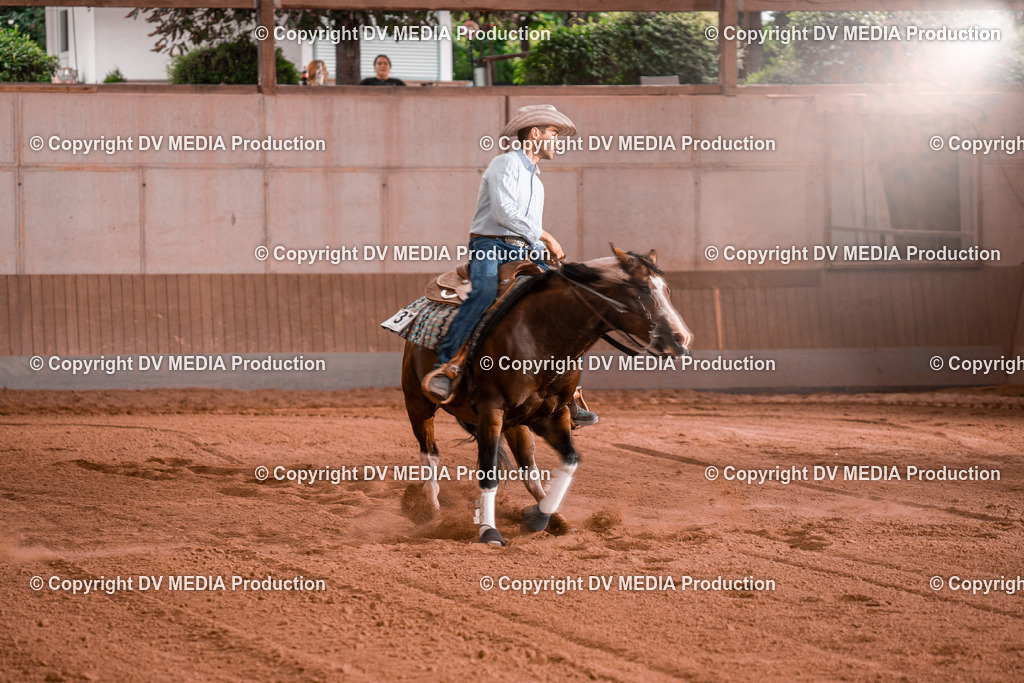 NE300838 | dv-media-shop - Realisiert mit Pictrs.com