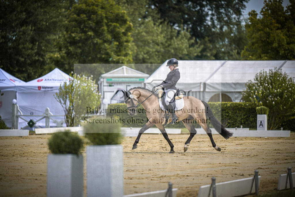 DOS_0215 | Entdecke hochwertige Reitturnierfotos von Foto Oger. Professionell, emotional und authentisch – jetzt Lieblingsmomente im Shop bestellen.Deutschlandweite Turnierfotografie. - Realisiert mit Pictrs.com