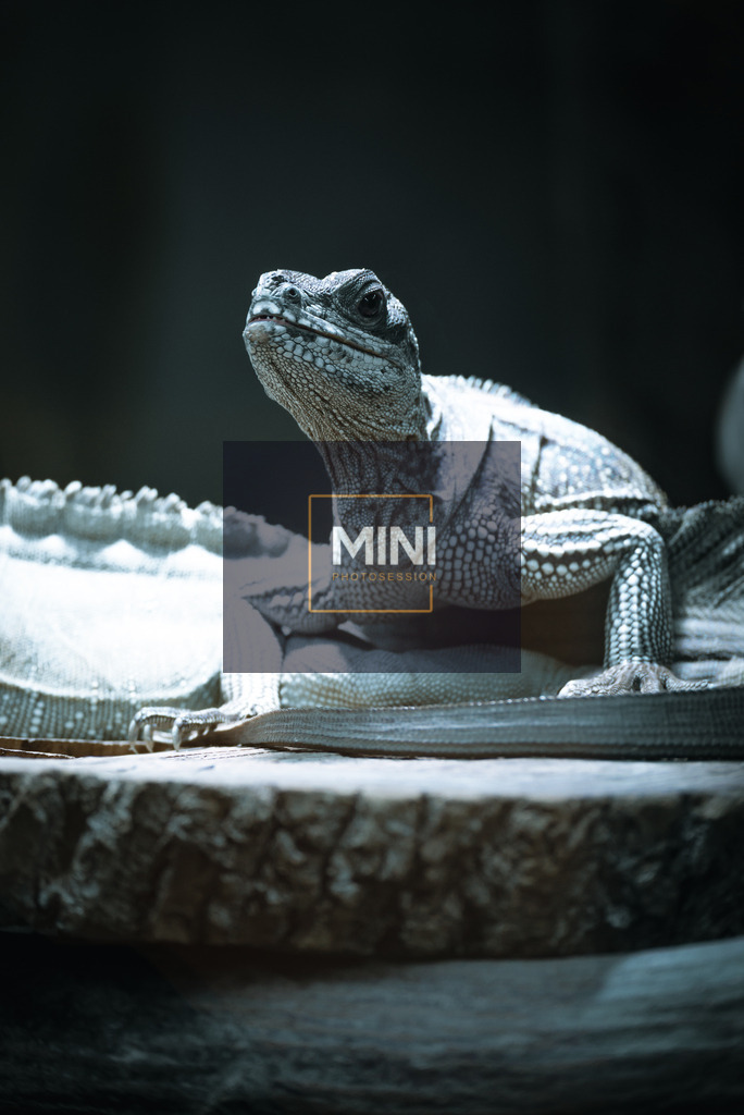 20230312-DSC_3799Original | Michael Nibel Fotografie - Realisiert mit Pictrs.com