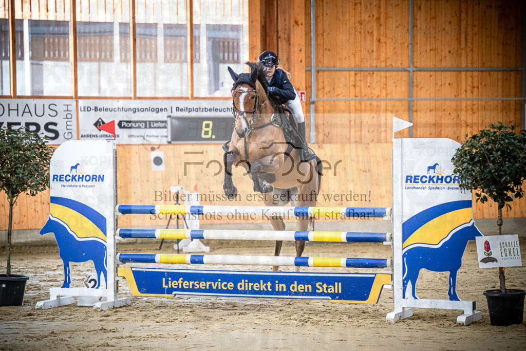DOS_0298 | Entdecke hochwertige Reitturnierfotos von Foto Oger. Professionell, emotional und authentisch – jetzt Lieblingsmomente im Shop bestellen.Deutschlandweite Turnierfotografie. - Realisiert mit Pictrs.com