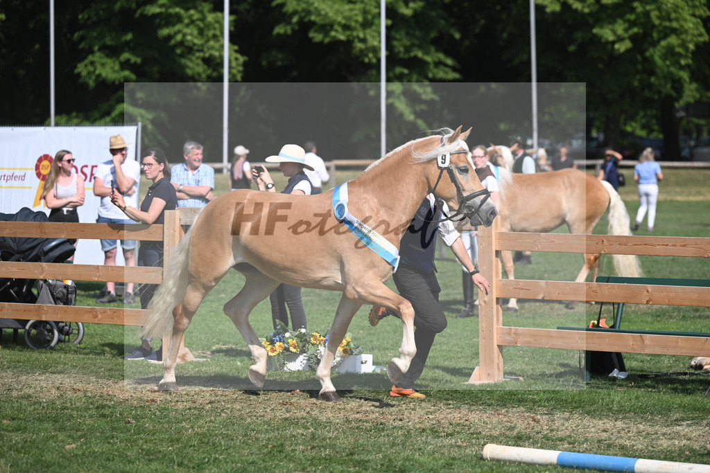 Kat-Nr. 9 Giorgia G_Grandauer_20231647 | hf-fotografie - Realisiert mit Pictrs.com