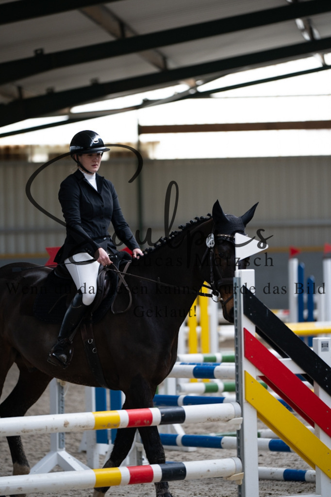 A7V03706 | Pferdefotograf