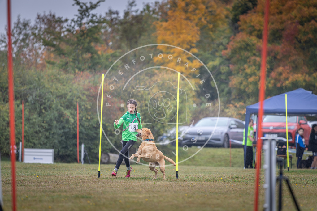 Pfotenfotografie_DV3A9918 | Hundefotografie, Tierfotograf, Pfotenfotografie, Fotoshooting Hund, Hunde Portrait, Hundesport, Hundeportraits, Heideshooting, Hunde, Sportfotograf, Hundefotograf, Turnierhundsport, THS,  - Realisiert mit Pictrs.com