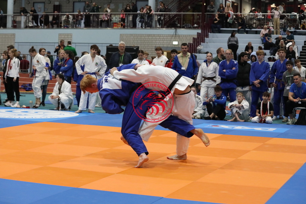 1J7A2406 | Fotos vom Adler Cup - Pictures from Adler Cup

Hier findet Ihr alle Eindrücke und großen Momente der Adler Cup Wochenenden. Here you will find all impressions and great moments of the Adler Cup weekends. - Realisiert mit Pictrs.com