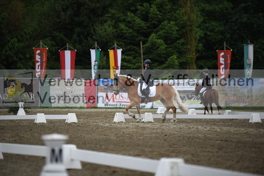 DSC_7929 | equestrian-live-com
