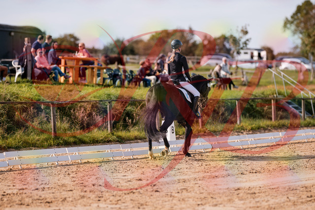 2026_10_03_Siefer-Hof_115813_Z81_00522193 | Professionelle Reitsport-, Turnier- und Eventfotografie von Robert Broda. Galerien mit ausgewählten und bearbeiteten Bildern direkt online ansehen und bestellen.
