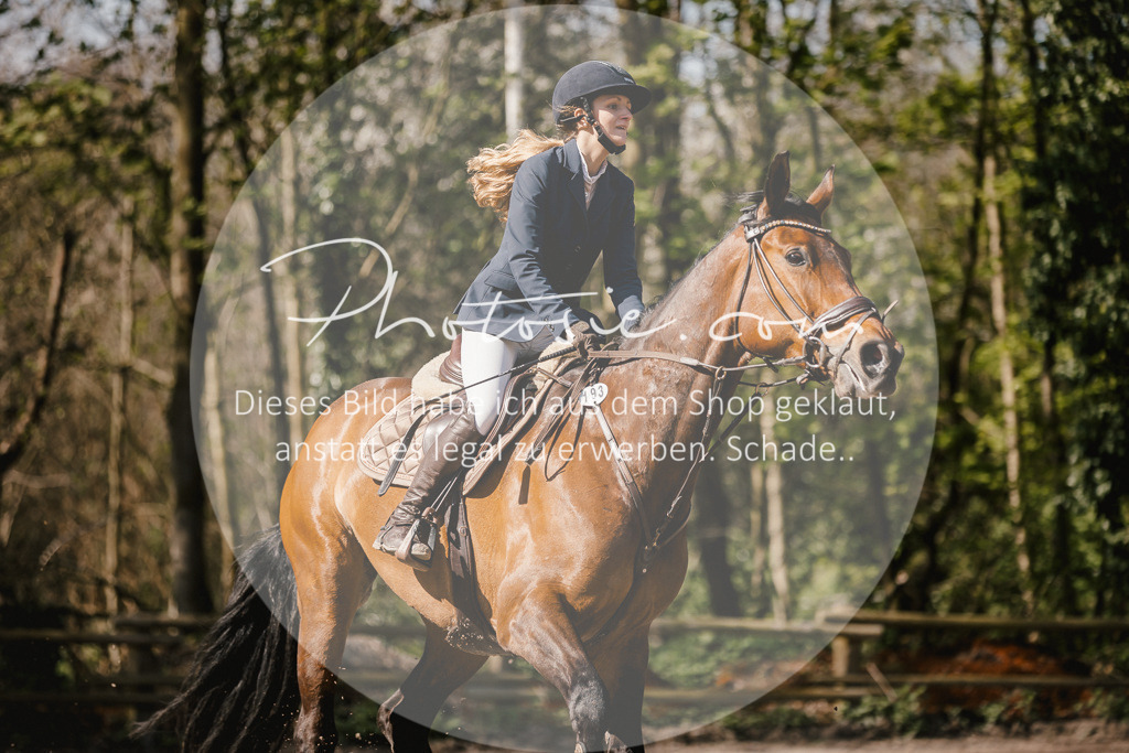 3I6A3955 | Stimmungsvolle Portraits und Reitsportfotografie im Ruhrgebiet und im Münsterland.

Pferdefotografie, Hundefotografie, Tierfotografie, Reportagen, Portraits von Tier und Mensch, Turnierfotografie in Bochum, Recklinghausen, Marl, Haltern am See, Dülmen.. - Realisiert mit Pictrs.com