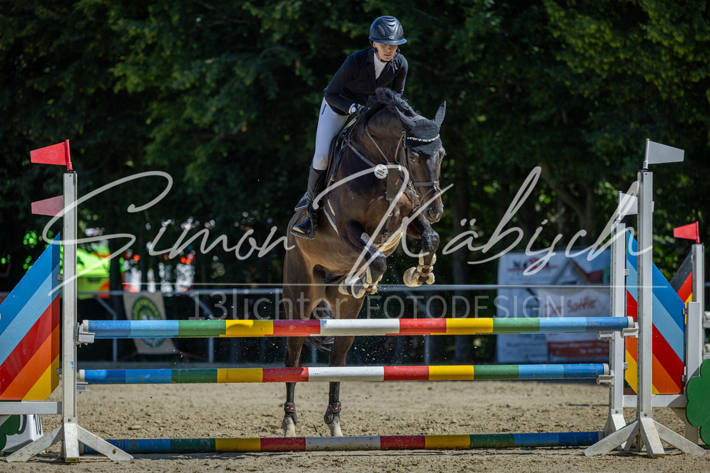 20260704-_3LI7712 | Tierfotografie Pferde, Hunde, Katzen, Haustiere.
Turnierfotografie Reitturniere, Reiten, Springreiten, Dressur in Hanau, dem Main-Kinzig-Kreis und dem Rhein-Main- Gebiet um Frankfurt