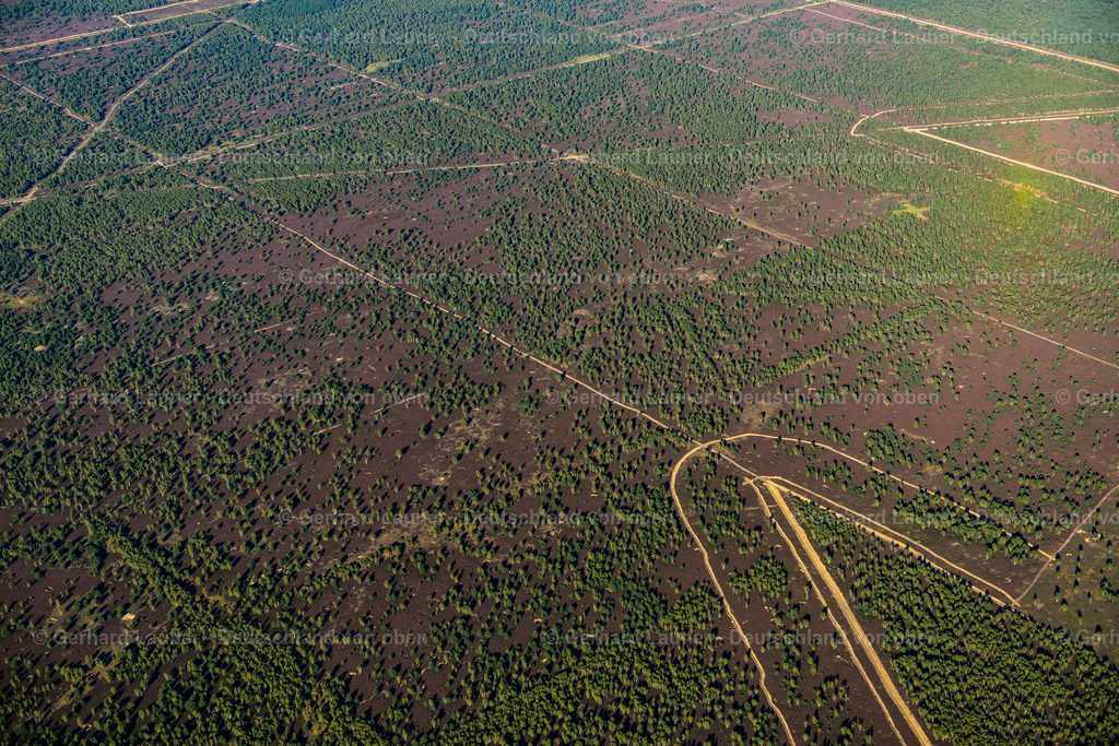 3638420 | FLECKEN ZECHLIN 25.08.2016 Forstgebiete in einem Waldgebiet  in Flecken Zechlin im Bundesland Brandenburg, Deutschland // Forest areas in  in Flecken Zechlin in the state Brandenburg, Germany Foto: Gerhard Launer