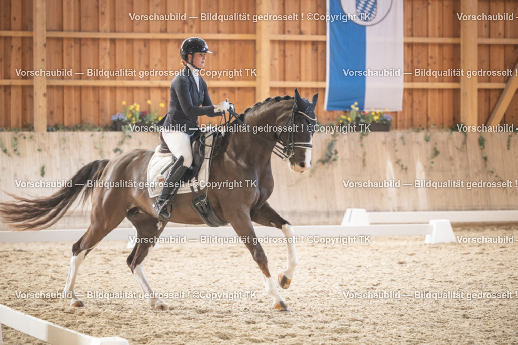 _D5A6501 | Emotionale Pferde- & People-Fotografie rund um Heidelberg, Leimen & Umgebung. Natürliche Fotos von Pferd, Mensch & Familie. Jetzt Termin sichern!