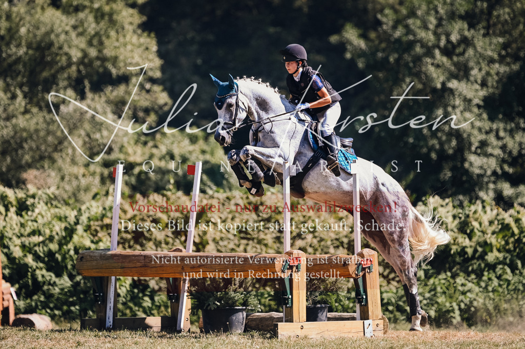 DSC_8454-2 | Pferde- und Turnierfotografie in Westsachsen. Pferdeportraits, Auftragszeichnungen und intuitive Kunst.