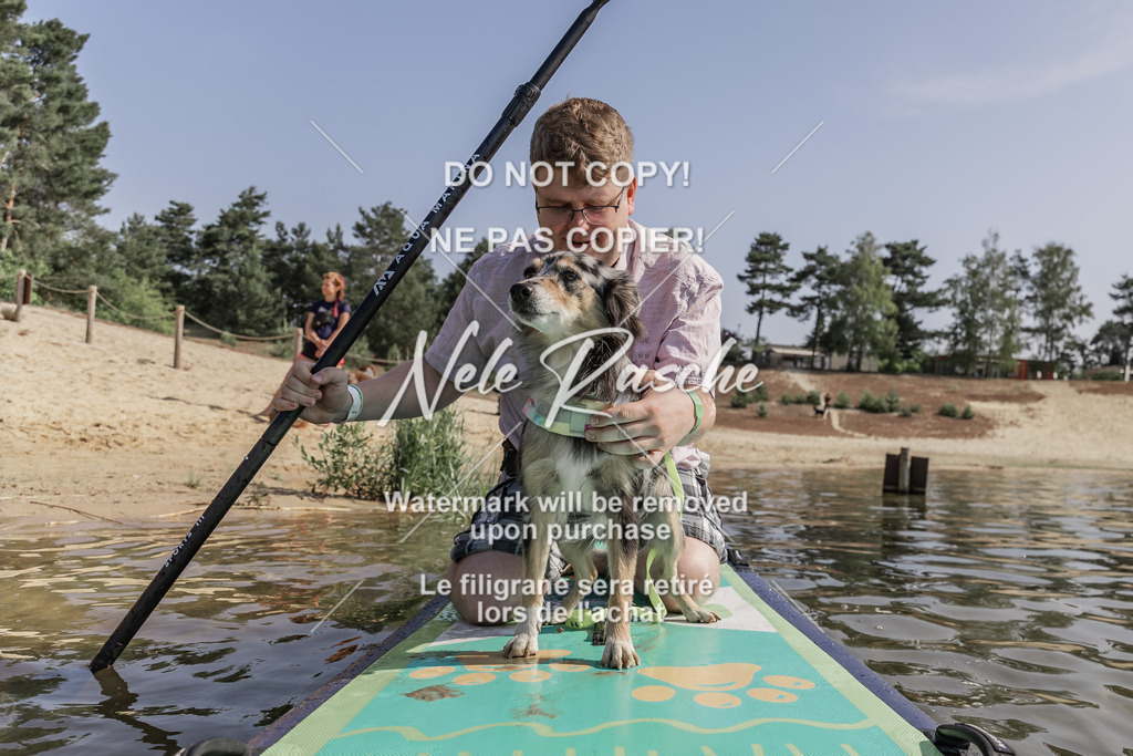 BUHU_SUP_218 | nelerasche