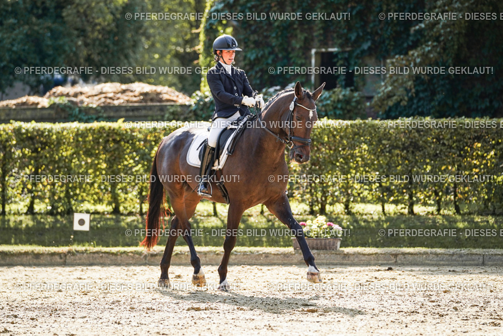 DSC06825 | Pferdegrafie