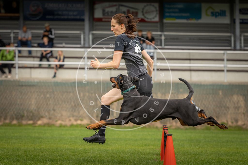 Pfotenfotografie_DV3A9655 | Hundefotografie, Tierfotograf, Pfotenfotografie, Fotoshooting Hund, Hunde Portrait, Hundesport, Hundeportraits, Heideshooting, Hunde, Sportfotograf, Hundefotograf, Turnierhundsport, THS,  - Realisiert mit Pictrs.com