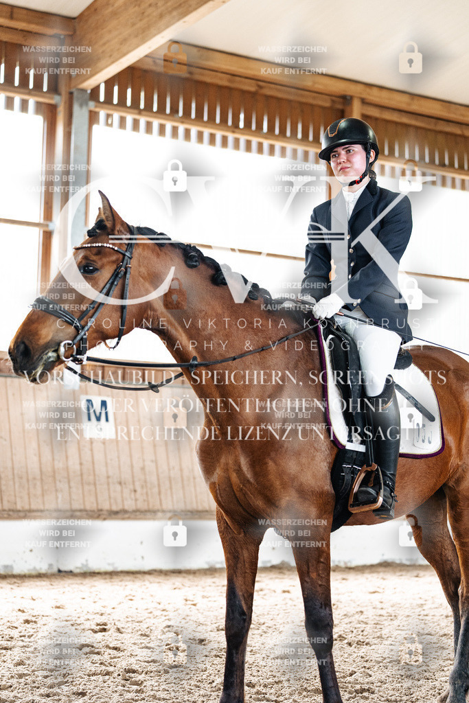 CK900449 | Turnierfotografie Pferdefotografie Trier Rheinland-Pfalz Pferdesport Reitsport Tierfotografie Sportfotografie Pferdevideo Pferdevideografie Equestrianvideography equestrianphotography  - Realisiert mit Pictrs.com