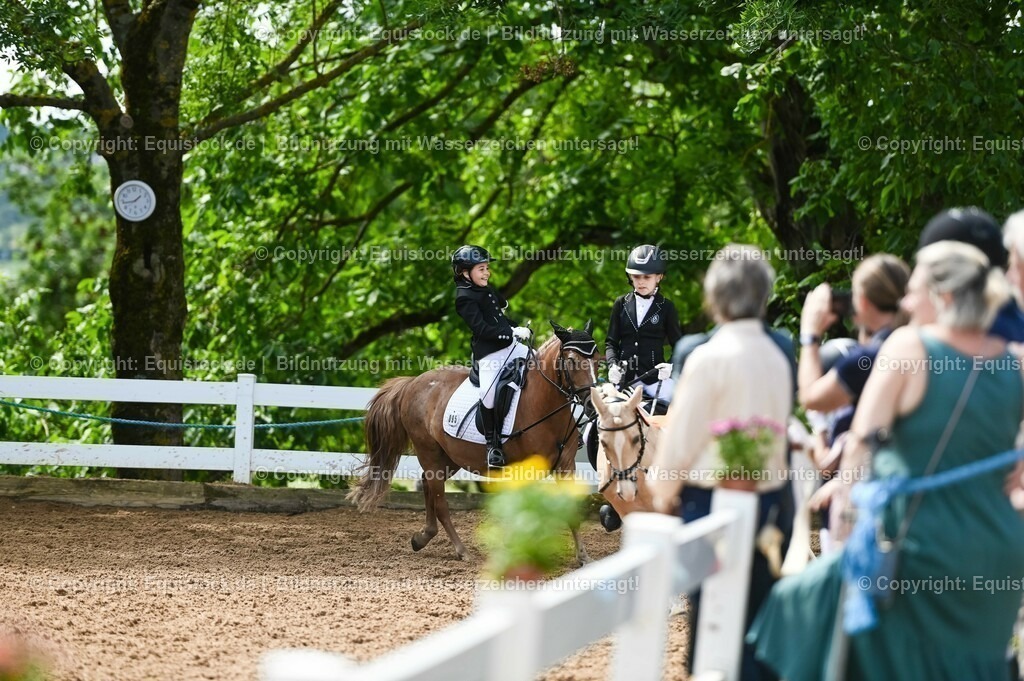 20230716_10-3_Reiter-WB Schritt - Trab - Galopp_0260 | equistock