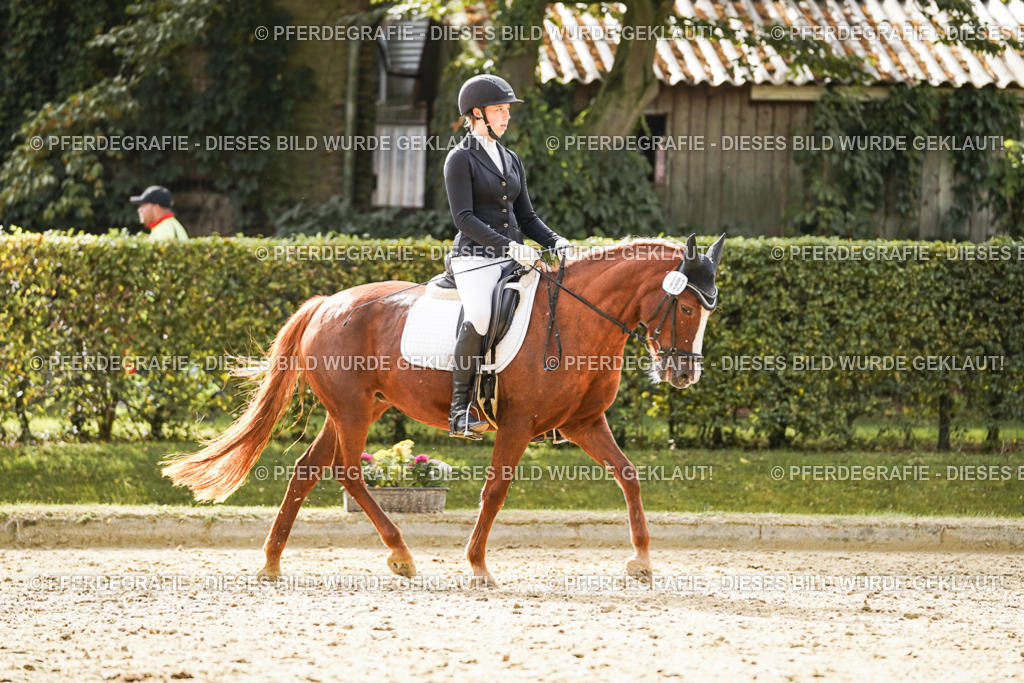 DSC00729 | Pferdegrafie