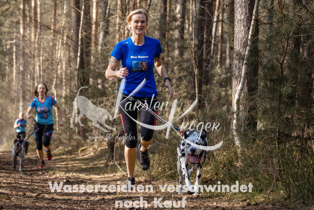 1331_ZZ94621 | kk-dogfotos