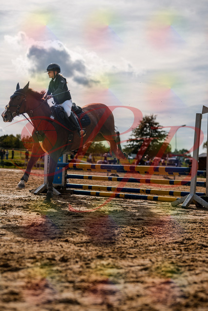 2026_10_03_Siefer-Hof_154631_Z63_09932359 | Professionelle Reitsport-, Turnier- und Eventfotografie von Robert Broda. Galerien mit ausgewählten und bearbeiteten Bildern direkt online ansehen und bestellen.