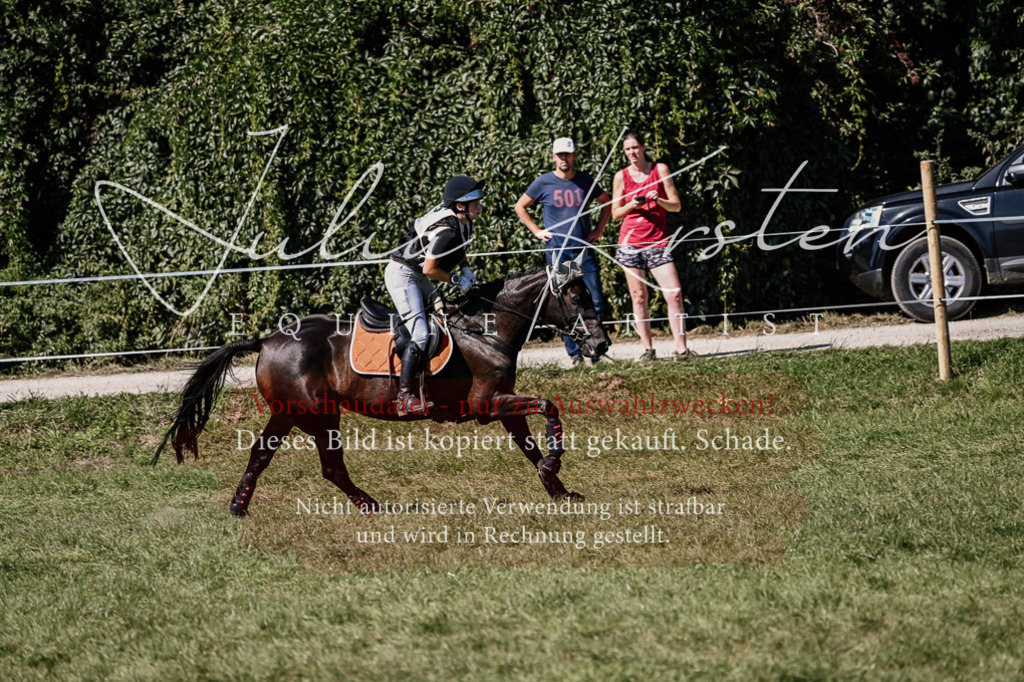 DSC_1799 | Pferde- und Turnierfotografie in Westsachsen. Pferdeportraits, Auftragszeichnungen und intuitive Kunst.