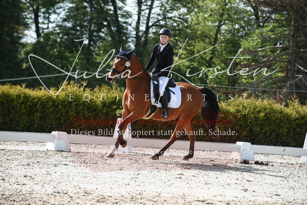 20230518_JK-Röhrsdorf-09-1456 | Pferde- und Turnierfotografie in Westsachsen. Pferdeportraits, Auftragszeichnungen und intuitive Kunst.