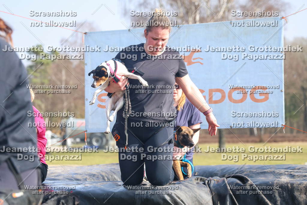 Dog Paparazzi - Strongdog North Mrz26-2017 | Dog Paparazzi Jeanette Grottendiek Fotografie & Videografie - Realisiert mit Pictrs.com