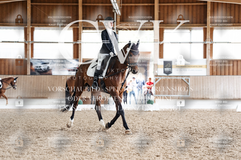 CK900676 | Turnierfotografie Pferdefotografie Trier Rheinland-Pfalz Pferdesport Reitsport Tierfotografie Sportfotografie Pferdevideo Pferdevideografie Equestrianvideography equestrianphotography  - Realisiert mit Pictrs.com
