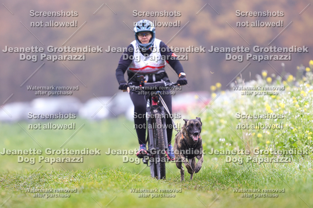 Dog Paparazzi - Visbeck 25 -201 | Dog Paparazzi Jeanette Grottendiek Fotografie & Videografie - Realisiert mit Pictrs.com