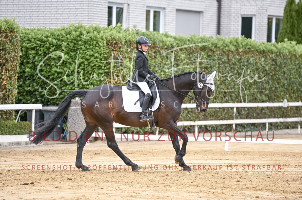 Schugtsche-Aluta25-42.EDressur -188 | Schugtsche Fotografie - Realisiert mit Pictrs.com