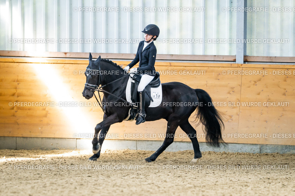 DSC02549 | Pferdegrafie