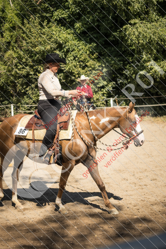 IMG_7521 | Sport-, Event- und Tierfotos in Profiqualität. Einfach auswählen, bestellen und herunterladen. Dein Moment – perfekt festgehalten.