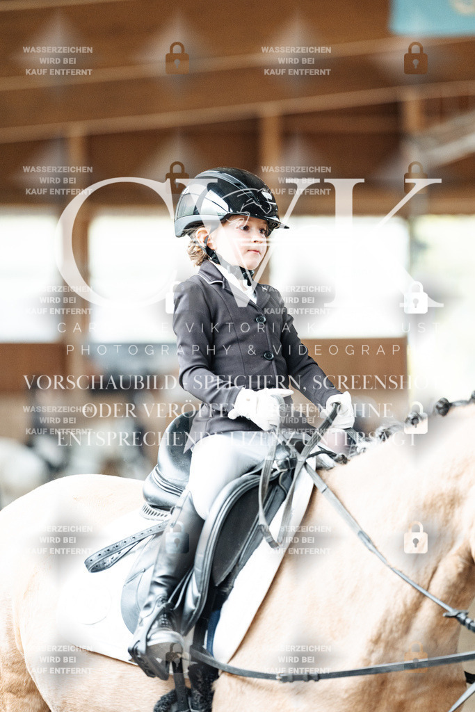 CK901921 | Turnierfotografie Pferdefotografie Trier Rheinland-Pfalz Pferdesport Reitsport Tierfotografie Sportfotografie Pferdevideo Pferdevideografie Equestrianvideography equestrianphotography  - Realisiert mit Pictrs.com