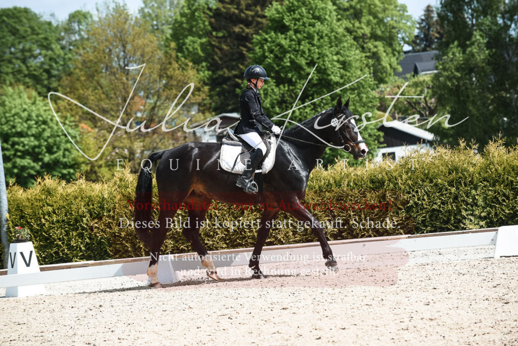 20230518_JK-Röhrsdorf-11-0672 | Pferde- und Turnierfotografie in Westsachsen. Pferdeportraits, Auftragszeichnungen und intuitive Kunst.